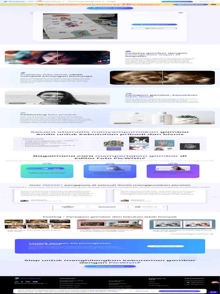 Unblur Dan Pertajam Gambar Online Gratis PicWish PDF