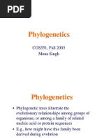 Download Phylogenetics by api-3807637 SN7049429 doc pdf