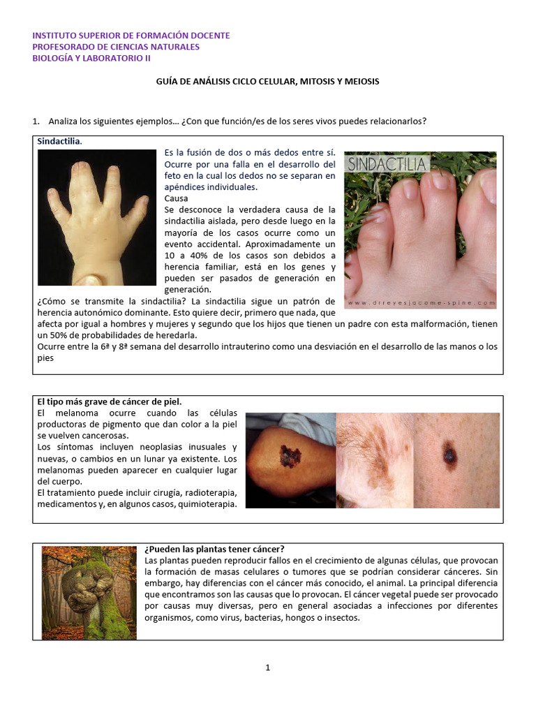 gu-a-de-an-lisis-ciclo-celular-aplicaci-n-230420-094654-pdf-mitosis