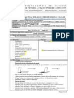 003 Guía Pràctica BCG