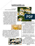 Documento A4 Periódico Informativo Semanal Minimalista Clásico