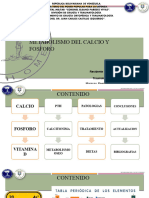 Seminario Metabolismo