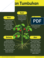 Green and Yellow Illustrative Parts of The Plant Science Classroom Poster - 20231121 - 192452 - 0000