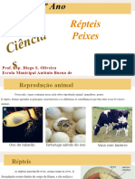 Répteis e Peixes