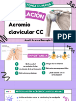 Articulación Acromioclavicular