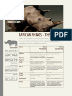 African Rhinos - The Facts