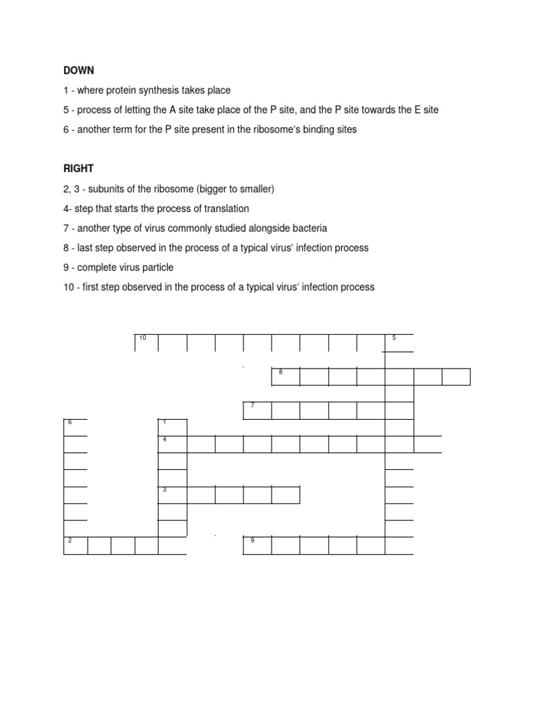 Bio Crossword PDF Ribosome Virus