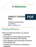 Consumer Psychology (MN50582) Lecture 2 Final