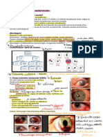 Aula 25 - Perda Visual Aguda - Trauma Ocular