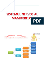 Sistemul Nervos-1-1