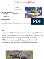 How Species Interact Energy Flow and Enrgy Cycle