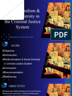 Diaz-Multiculturalism and Social Diversity in CJS