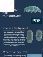 The Tardigrade ! - 20240207 - 182306 - 0000