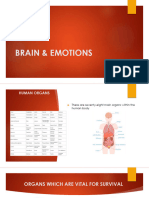 Brain and Emotion Slides