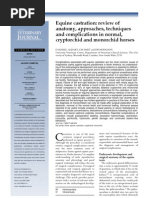 Download Equine Castration AU Vet Journal by Yolandi Lewis Stoltz SN70498300 doc pdf