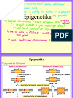 Epigenetika