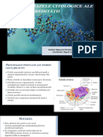 Bazele Citologice A Ereditatii
