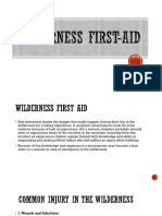 LESSON 10 Wilderness First Aid