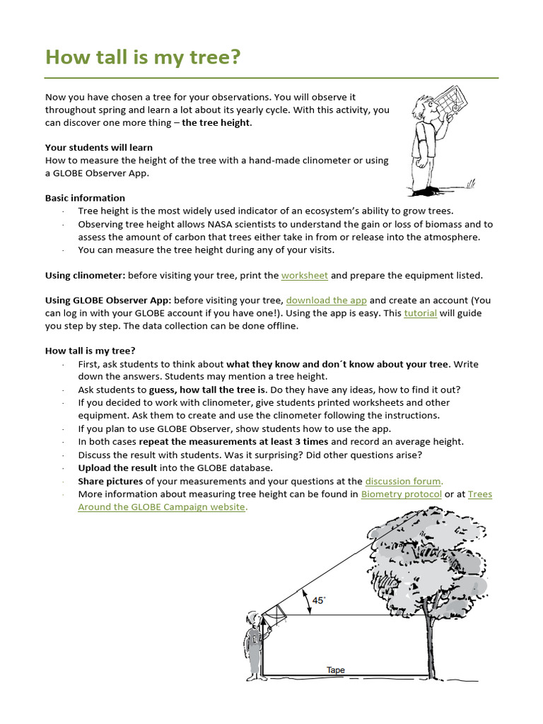 HowTallIsmyTree_2024 PDF