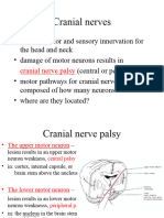 Cranial Nerve Examination 341