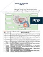 Lkpd-Sistem-Reproduksi - Feny Kurnia