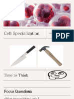 Cell Specialization-1O
