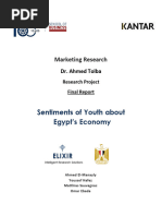 Marketing Research Sentiments of Youth About Egypt's Economy