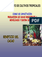 Beneficio Cacao