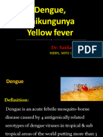 Dengue, Chikungunya, Yellow Fever