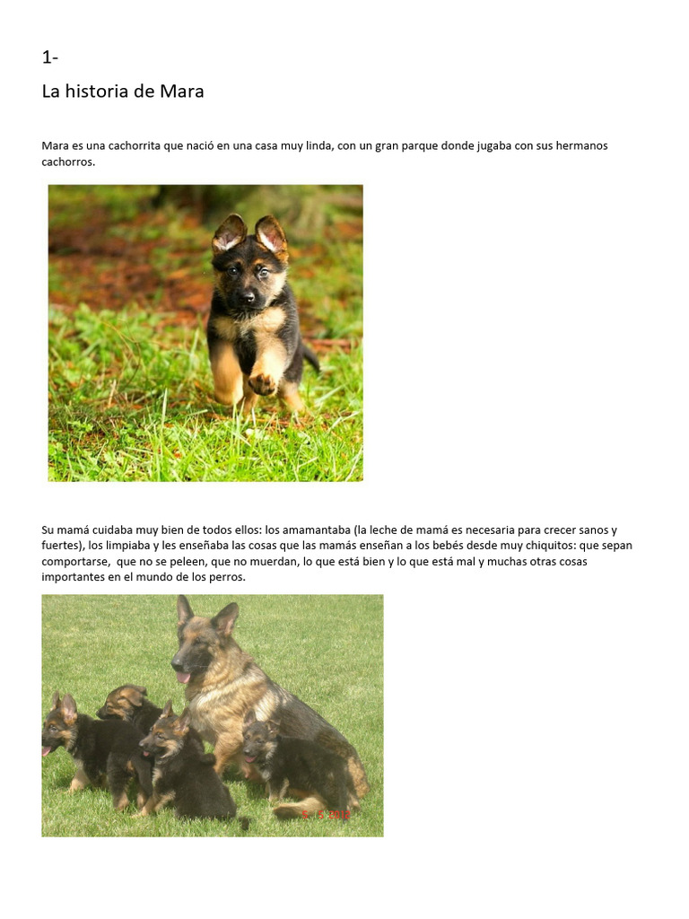 La Historia de Mara | PDF