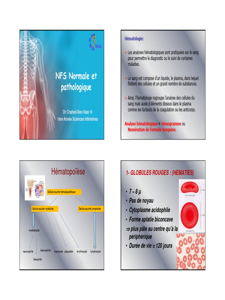 Hémogramme : Interprétation et Anomalies | PDF | Globule blanc ...