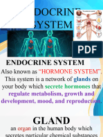 Endocrine System