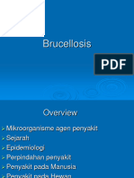 Brucellosis