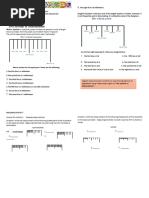 Estimating Height From Ulna Length: © Nutrition Professionals Australia ...