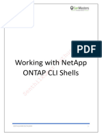 Working With NetApp ONTAP CLI Shells