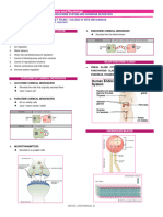 Endocrine System