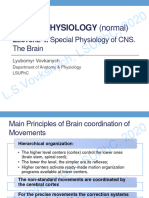 Lecture 4.physiology of Central Nervous System The Brain