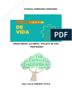 Projeto de Vida Ensino Medio