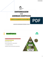 Enf Aula 4 - Resumo Maneio Dif Especies