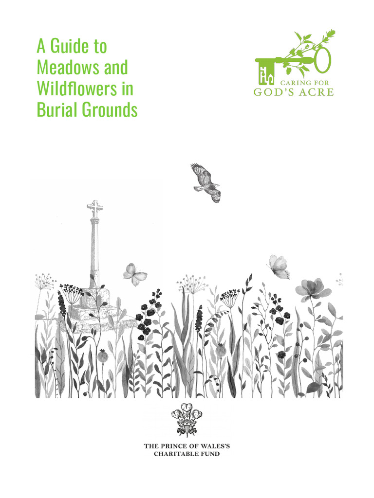 Caring for Burial Ground Meadows | PDF | Hay | Meadow