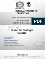 Guión de Biología Celular Final