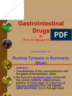 Digestive System Clinical
