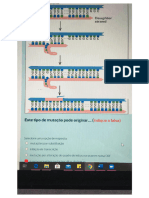 Compilacao Perguntas