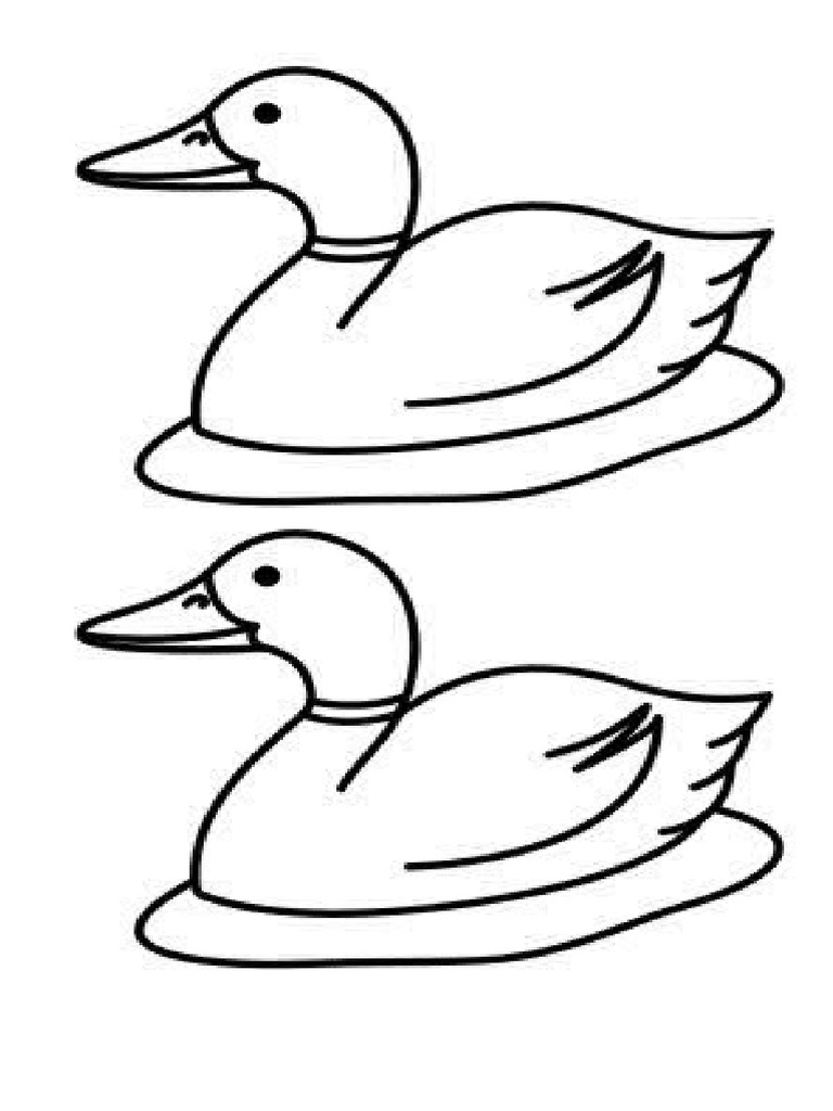 Animales de La Granja | PDF