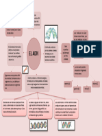 Mapa Conceptual Del ADN