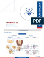 CB+FT Otorrinolaringología