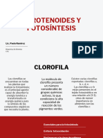 Clase 2 - Carotenos y Fotosintesis