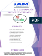 Registro e Información Contable Empresarial-3