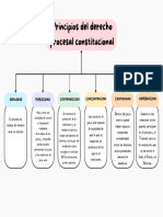 Principios Del Derecho Procesal Constitucional