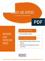 Cell Response To Injury - Necrosis and Apoptosis